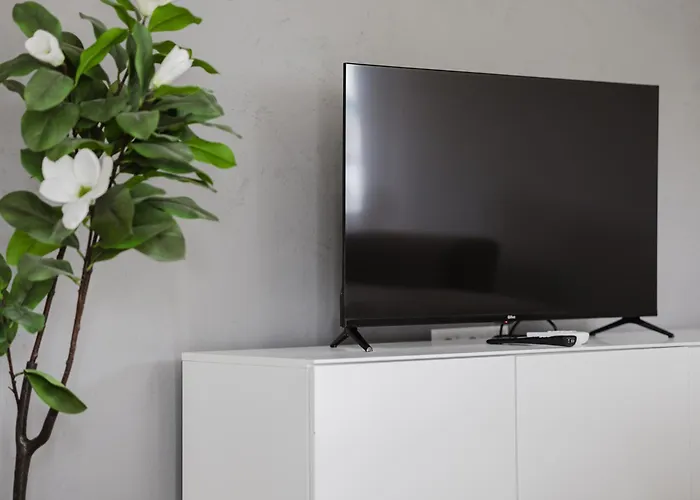 Grunwald Raszynska Bright By Bookinghost